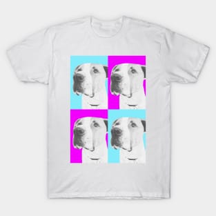 American Bulldog cross in Pink and Blue T-Shirt